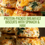 Breakfast Protein Biscuits: A Savory Start to Your Day Recipe