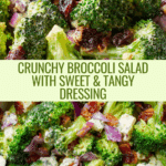 The Best Broccoli Salad Recipe