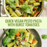 20 Minute Vegan Pesto Pasta Recipe