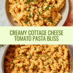 Creamy Cottage Cheese Tomato Pasta Recipe