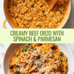 Ground Beef Orzo with Tomato Cream Sauce Recipe